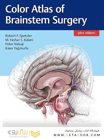 Color Atlas of Brainstem Surgery 1st Edition