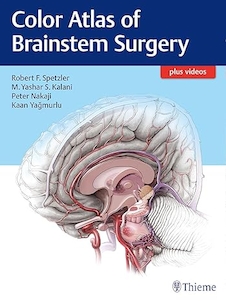 عکس Color Atlas of Brainstem Surgery 1st Edition