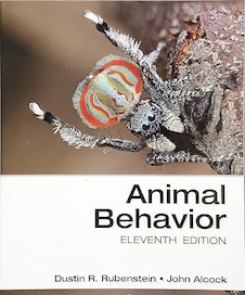 عکس Animal Behavior