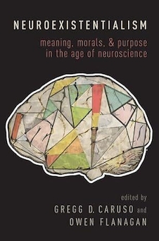 عکس Neuroexistentialism: Meaning, Morals, and Purpose in the Age of Neuroscience