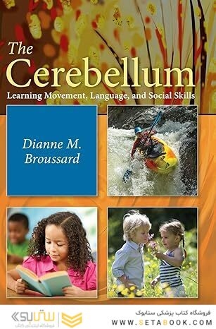 The Cerebellum: Learning Movement, Language, and Social Skills 1st Edition
