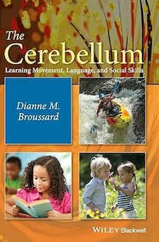 عکس The Cerebellum: Learning Movement, Language, and Social Skills 1st Edition