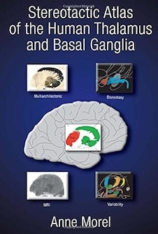عکس Stereotactic Atlas of the Human Thalamus and Basal Ganglia