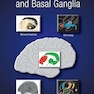 Stereotactic Atlas of the Human Thalamus and Basal Ganglia