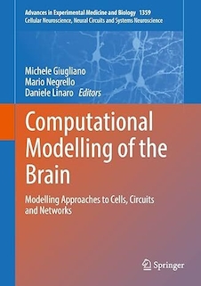 عکس Computational Modelling of the Brain: Modelling Approaches to Cells, Circuits and Networks (Advances in Experimental Medicine and Biology, 1359)