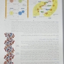 زیست شناسی مولکولی سلول آلبرتس جلد دوم 2022