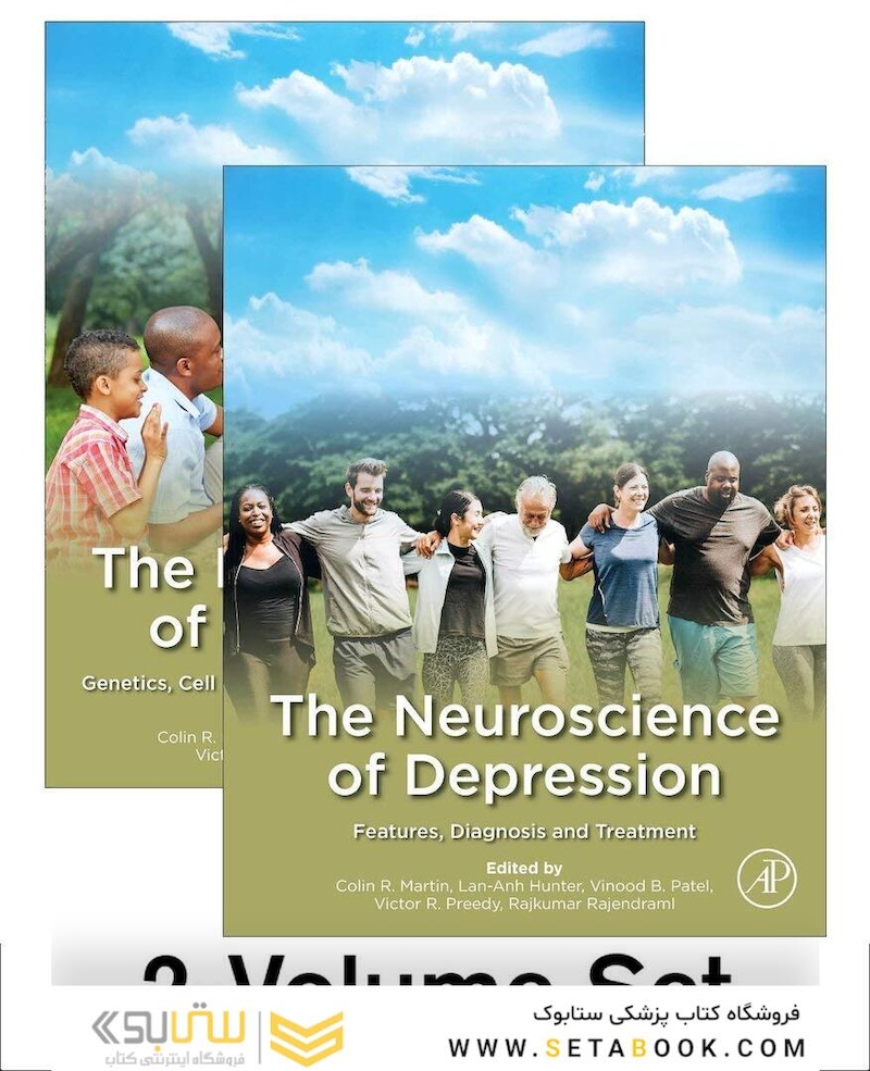 The Neuroscience of Depression 1st Edition