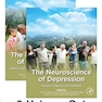 The Neuroscience of Depression 1st Edition