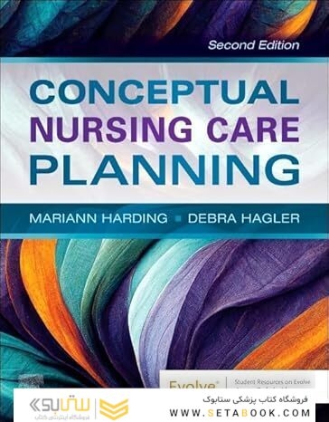Conceptual Nursing Care Planning 2nd Edition