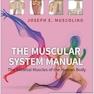 The Muscular System Manual: The Skeletal Muscles of the Human Body 5th Edition