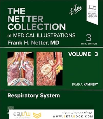 The Netter Collection of Medical Illustrations: Respiratory System, Volume 3