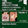 The Netter Collection of Medical Illustrations: Respiratory System, Volume 3