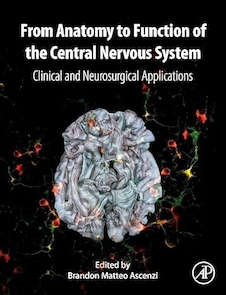 عکس From Anatomy to Function of the Central Nervous System: Clinical and Neurosurgical Applications 1st Edition
