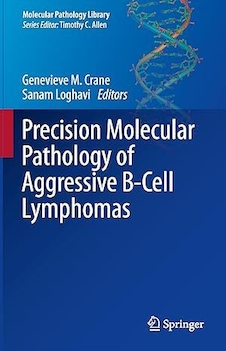 عکس Precision Molecular Pathology of Aggressive B-Cell Lymphomas (Molecular Pathology Library) 2023rd Edition