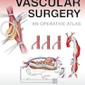 Gateways in Vascular Surgery: An Operative Atlas 1st Edition