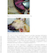 A Fully Illustrated Handbook on Clinical Diagnostic Processes in Canine Medicine