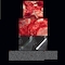 Advanced Zygomatic Implants: The Zaga Concept 1st Edition