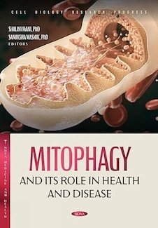 عکس Mitophagy and Its Role in Health and Disease