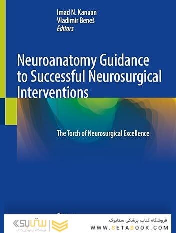 Neuroanatomy Guidance to Successful Neurosurgical Interventions: The Torch of Neurosurgical Excellence
