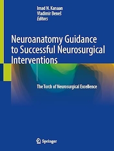 عکس Neuroanatomy Guidance to Successful Neurosurgical Interventions: The Torch of Neurosurgical Excellence