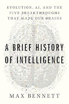 عکس A Brief History of Intelligence: Evolution, AI, and the Five Breakthroughs That Made Our Brains