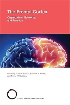 عکس The Frontal Cortex: Organization, Networks, and Function