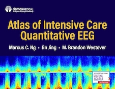 عکس Atlas of Intensive Care Quantitative EEG 1st Edition