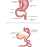 The SAGES Manual of Metabolic and Bariatric Surgery Third Edition
