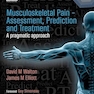 Muskuloskeletal Pain - Assessment, Prediction and Treatment: A Pragmatic Approach 1st Edition