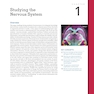 Neuroscience 7th Edition