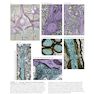 Neuroscience 7th Edition