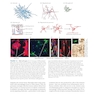 Neuroscience 7th Edition