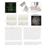 Neuroscience 7th Edition