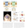 Neuroscience 7th Edition