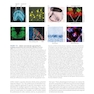 Neuroscience 7th Edition
