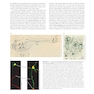 Neuroscience 7th Edition