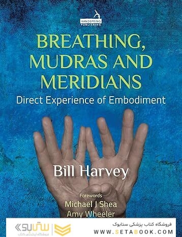 Breathing, Mudras and Meridians: Direct Experience of Embodiment