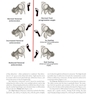 Postgraduate Paediatric Orthopaedics: The Candidate