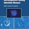 Diagnosis of Pathogenic Microorganisms Causing Infectious Diseases 1st Edition