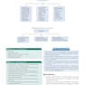 Algorithms in Infertility and Reproductive Medicine