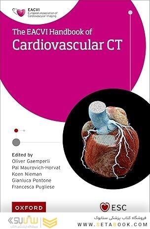 EACVI Handbook of Cardiovascular CT (The European Society of Cardiology Series)