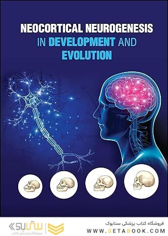 Neocortical Neurogenesis in Development and Evolution 1st Edition