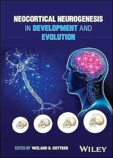 عکس Neocortical Neurogenesis in Development and Evolution 1st Edition