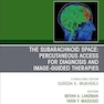 The Subarachnoid Space: Percutaneous Access for Diagnosis and Image-Guided therapies, An Issue of Neuroimaging Clinics of North America
