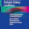 Psychosocial Considerations in Pediatric Kidney Conditions: Guidance for Collaborative Practice