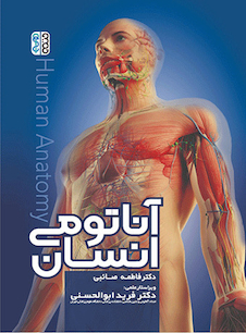 عکس آناتومی انسان