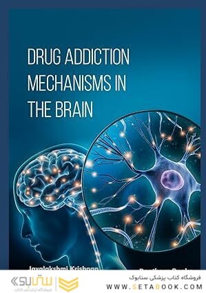 Drug Addiction Mechanisms in the Brain