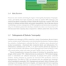 Rehabilitation in Diabetic Peripheral Neuropathy