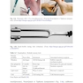 Rehabilitation in Diabetic Peripheral Neuropathy