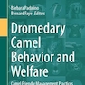 Dromedary Camel Behavior and Welfare: Camel Friendly Management Practices